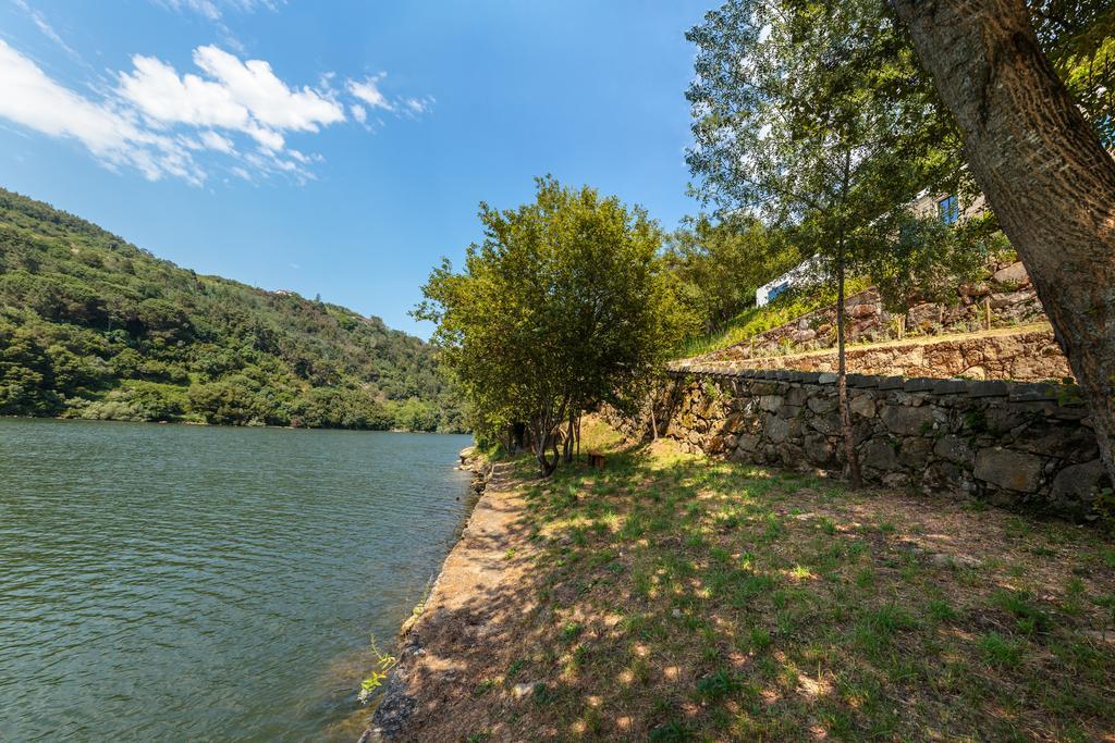 Douro Green Castelo de Paiva Exterior photo